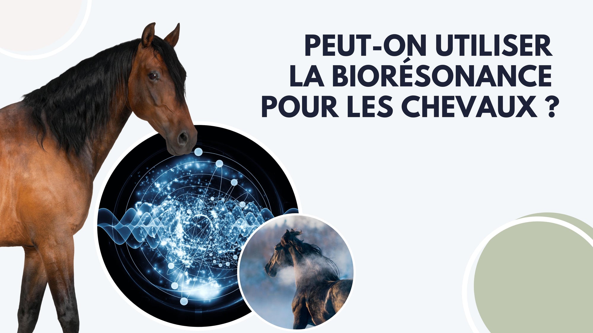 couverture-article-blog-n-7-peut-on-utiliser-la-biorésonance-pour-les-chevaux