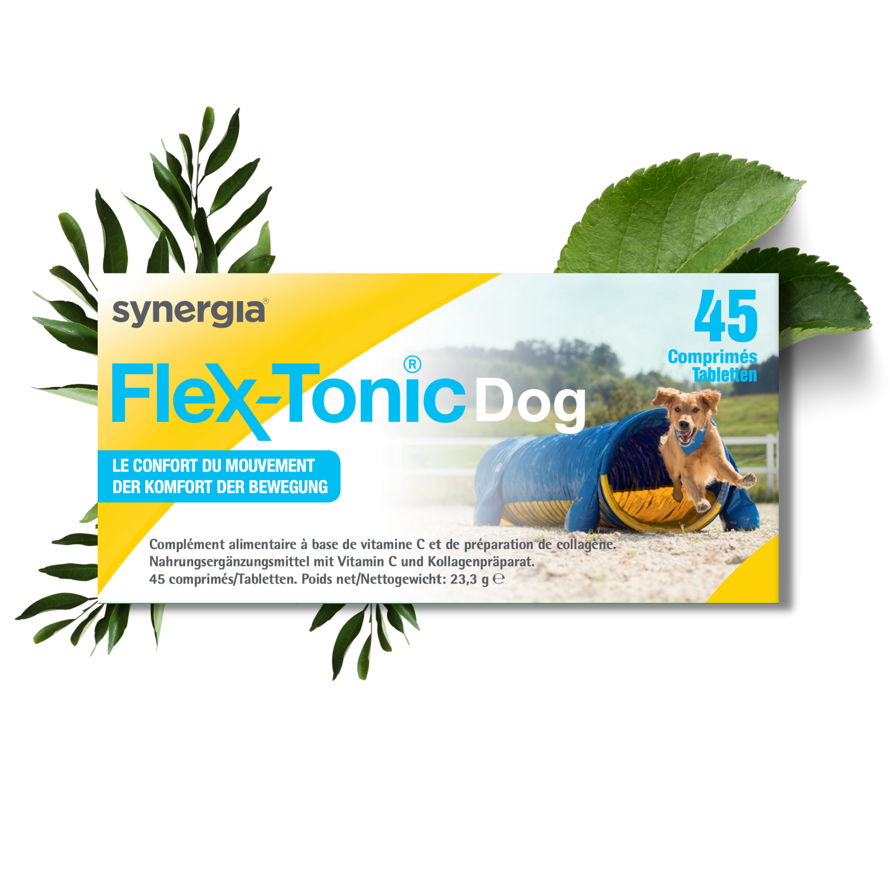 FLEXTONIC DOG | Complément alimentaire pour chien