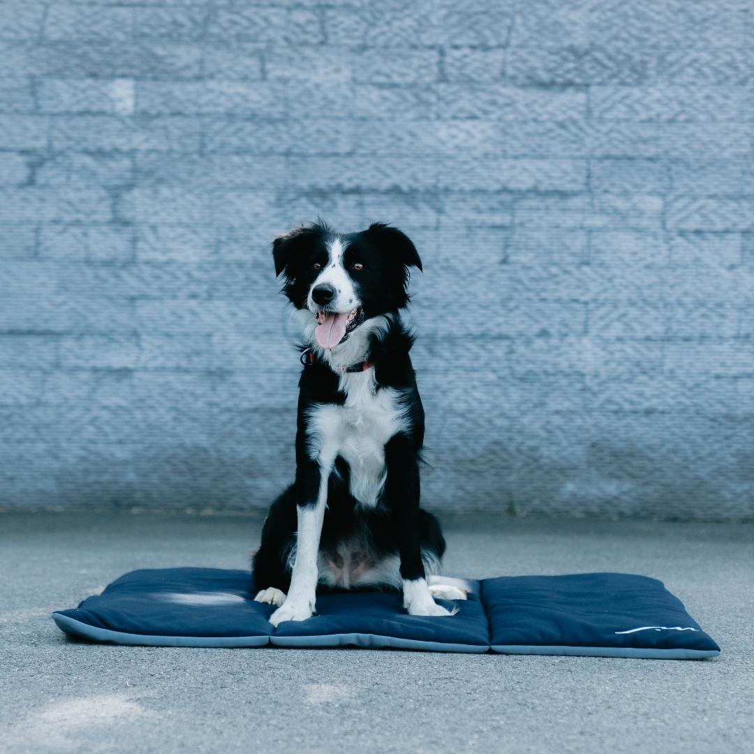 Coussin apaisant multi-color