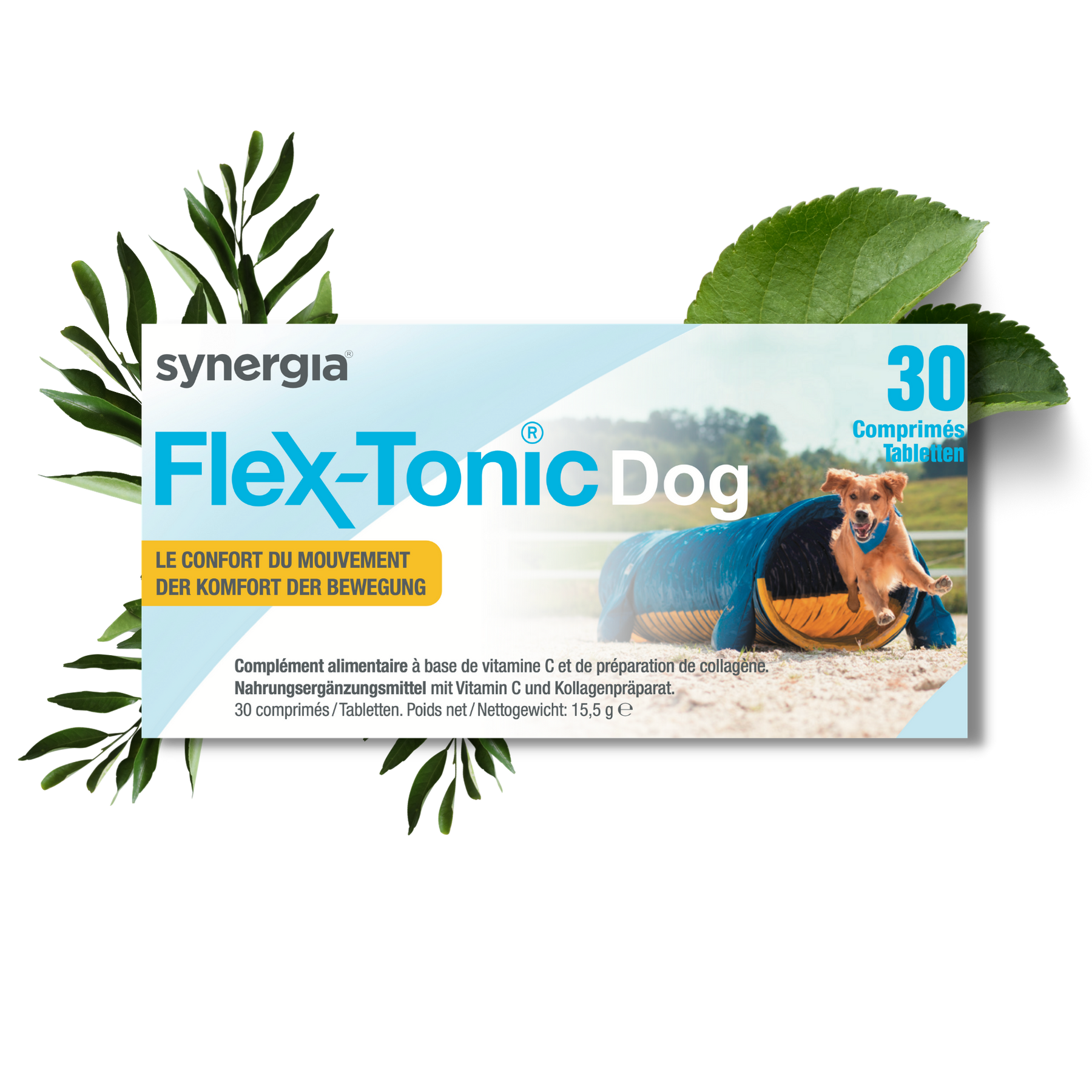 FLEXTONIC DOG | Complément alimentaire pour chien
