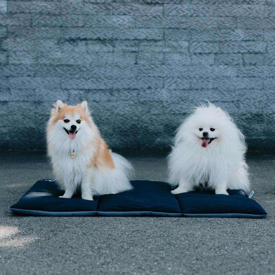 Coussin apaisant multi-color