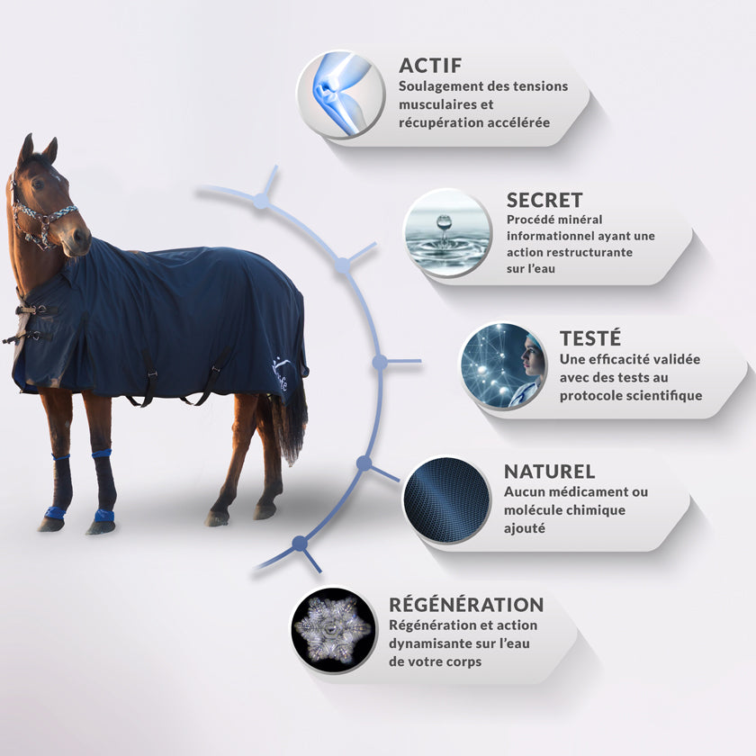 Couverture cheval impermeable hiver bleu cheval avec différentes tailles. Textile médical avec un procédé minéral pour les chevaux. la gestion des tensions et des douleurs diverses mais également une amélioration de la régénération cellulaire et une récupération active après le sport. La couverture leur apporte la détente optimale et relaxante nécessaire aux contractions fréquentes de ces athlètes. D’utilisation simple, il suffit d’habiller votre cheval.