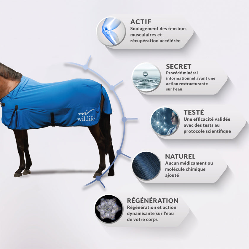 Couverture pour chevaux été bleu cheval. Textile médical avec un procédé minéral pour les chevaux. la gestion des tensions et des douleurs diverses mais également une amélioration de la régénération cellulaire et une récupération active après le sport. La couverture leur apporte la détente optimale et relaxante nécessaire aux contractions fréquentes de ces athlètes. D’utilisation simple, il suffit d’habiller votre cheval.