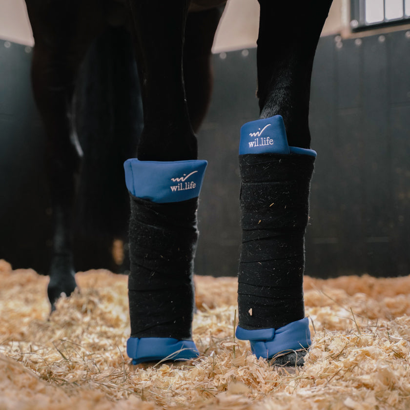 Bande de repos cheval, guetre. Sous bandage mousse bleu guêtres pour les pattes des chevaux. apporte la détente optimale et relaxante nécessaire aux contractions fréquentes de ces athlètes, la double couche du tissu autour d’une mousse confortable pour assurer un confort optimal. Utilisation simple. Textile médical avec un procédé minéral pour les chevaux.  la gestion des tensions et des douleurs diverses mais également une amélioration de la régénération cellulaire.