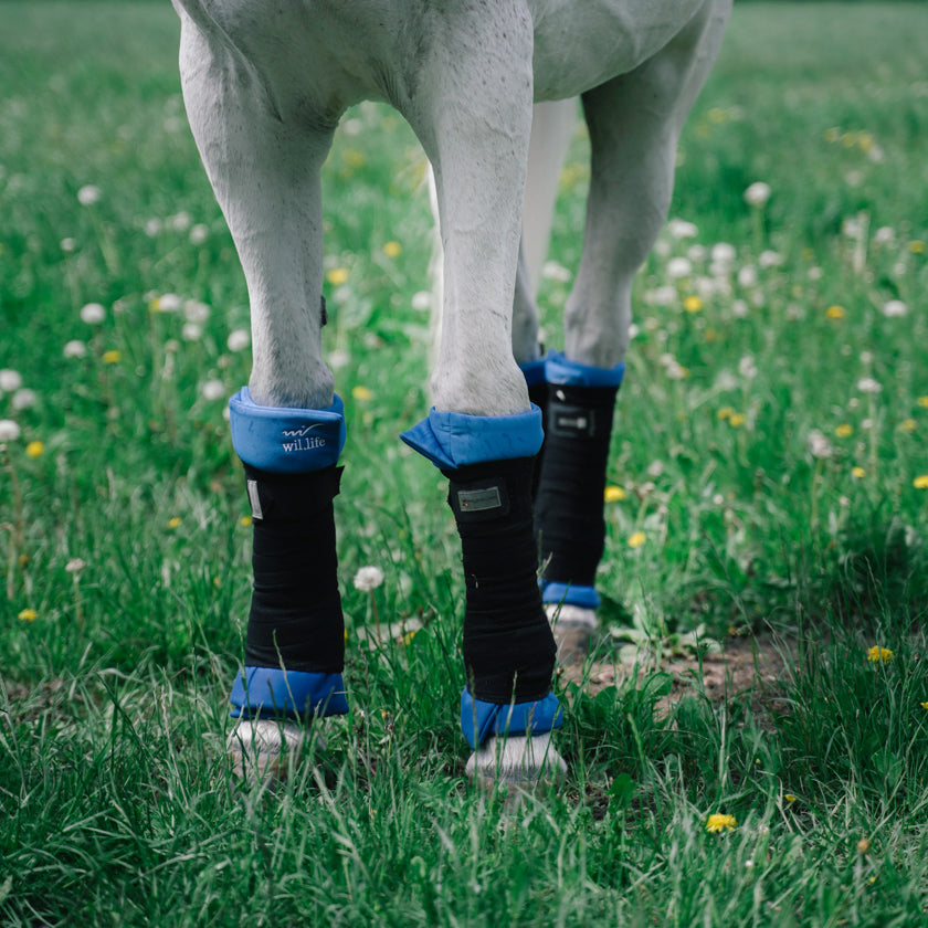 Bande de repos cheval, guetre. Sous bandage mousse bleu guêtres pour les pattes des chevaux. apporte la détente optimale et relaxante nécessaire aux contractions fréquentes de ces athlètes, la double couche du tissu autour d’une mousse confortable pour assurer un confort optimal. Utilisation simple. Textile médical avec un procédé minéral pour les chevaux.  la gestion des tensions et des douleurs diverses mais également une amélioration de la régénération cellulaire.