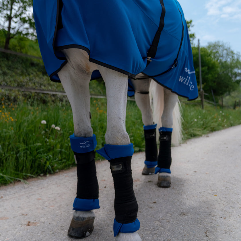 Bande de repos cheval, guetre. Sous bandage mousse bleu guêtres pour les pattes des chevaux. apporte la détente optimale et relaxante nécessaire aux contractions fréquentes de ces athlètes, la double couche du tissu autour d’une mousse confortable pour assurer un confort optimal. Utilisation simple. Textile médical avec un procédé minéral pour les chevaux. la gestion des tensions et des douleurs diverses mais également une amélioration de la régénération cellulaire.