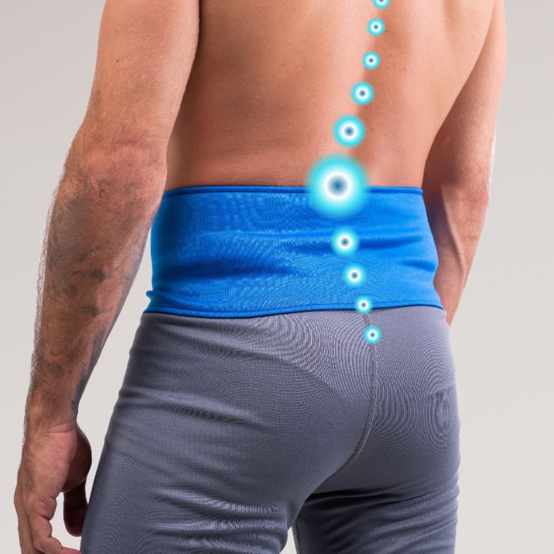 Ceinture lombaires Marine