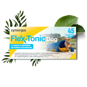 FLEXTONIC DOG | Complément alimentaire pour chien